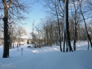 DSC00438.jpg