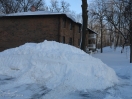 DSC00442.jpg