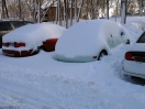 DSC00445.jpg