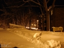 DSC00455.jpg