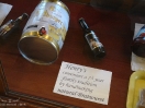DSC01151.jpg