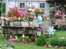 DSC01161.jpg
