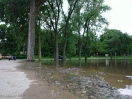 DSC01452.jpg