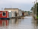 DSC01453.jpg
