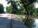DSC01482.jpg