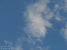 DSC01490.jpg