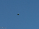 DSC01491.jpg