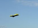 DSC01493.jpg