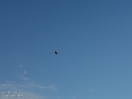 DSC01499.jpg