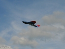 DSC01695.jpg