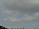 DSC01698.jpg