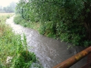 DSC01871.jpg