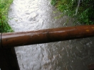 DSC01873.jpg