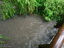 DSC01874.jpg