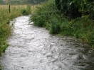 DSC01875.jpg
