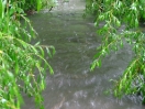 DSC01876.jpg