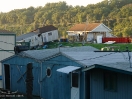 DSC01916.jpg