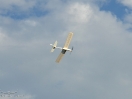 DSC01931.jpg