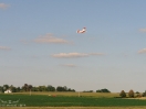 DSC01943.jpg