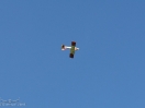 DSC01947.jpg