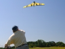 Fliegen auf der SOD-Farm