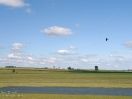 DSC02690.jpg