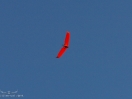 DSC02733.jpg