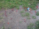 DSC02814.jpg