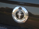 DSC02854.jpg