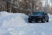 DSC00449.jpg