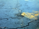 DSC00358.jpg