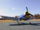 DSC00730.jpg