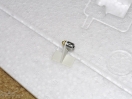 DSC01419.jpg