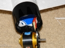 DSC01431.jpg