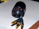 DSC00774.jpg