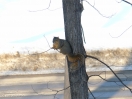 DSC00535.jpg