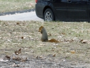 DSC00682.jpg
