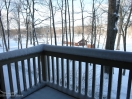 DSC00437.jpg
