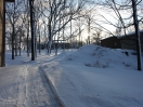 DSC00441.jpg