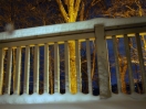 DSC00459.jpg